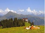Sommer in Kitzbühel