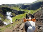 Mit dem Pferd durch Island - Reittouren