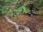 Spaziergang bei Paterzell lohnt gerade im Nebelmonat