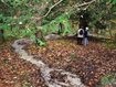 Durch magische Wälder