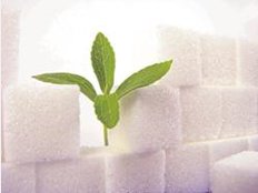 Stiftung Warentest untersucht 16 Produkte mit Süßstoff Stevia