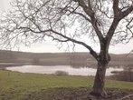 Spaziergang  zwischen Kirchseeon und Ebersberg