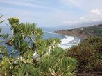 Überwintern im ewigen Frühling - Langzeiturlauber auf Teneriffa