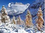 Ein Glücksfall an der Zugspitze