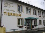 "Das Tierheim zerreißt's"