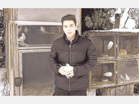 Taubenparadies im Garten: Andreas Kutschka wurde schon mit dem Jugendpreis des Landesverbands ausgezeichnet. foto: as