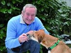 Tiere: Ansichten eines Hundes