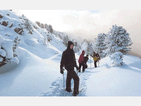 Wer im Winter in die Berge will, sollte sich vorher &uuml;ber die Lawinenlage informieren. foto: mm-Archiv