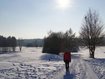 Elfenhaar im Schnee