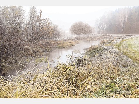 Das Schwabener Moos: Die Untere Naturschutzbehörde will hier Wiesenbrüter schützen. Foto: dz Das Schwabener Moos: Die Untere Naturschutzbehörde will hier Wiesenbrüter schützen. Foto: dz