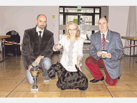 Ein echter Prachtkerl: Heath Hill Samurai von Ute Luig machte bei den Preisrichtern Goran Gladic (l.) aus Serbien und Rainer Jacobs aus Deutschland den besten Schnitt. foto: fkn Ein echter Prachtkerl: Heath Hill Samurai von Ute Luig machte bei den Preisrichtern Goran Gladic (l.) aus Serbien und Rainer Jacobs aus Deutschland den besten Schnitt. foto: fkn