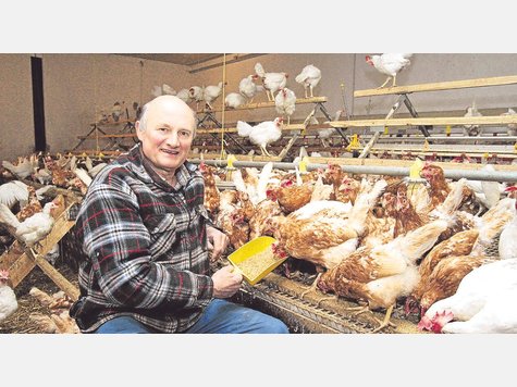 1400 Hühner hält Landwirt Rudolf Heidrich in Frohnloh. Deren Eier – bis zu 1250 täglich – verkauft er nur im Hofladen. Wer will, kann einen Blick in den Hühnerstall werfen. A-Foto: dr 1400 Hühner hält Landwirt Rudolf Heidrich in Frohnloh. Deren Eier – bis zu 1250 täglich – verkauft er nur im Hofladen. Wer will, kann einen Blick in den Hühnerstall werfen. A-Foto: dr