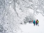 Schlechtwetter-Wanderung in der Rhön als neue Tourismusidee