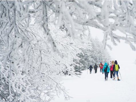 Nebelwanderung in der Rh&ouml;n
