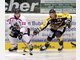 Im ersten Vergleich mit dem EHC Freiburg haben die T&ouml;lzer L&ouml;wen am Dienstag knapp den K&uuml;rzeren gezogen.