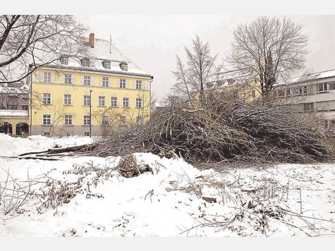 Umstritten, aber rechtens: Die Bäume am Vermessungsamt mussten dem Neubau weichen. Foto: njd Umstritten, aber rechtens: Die Bäume am Vermessungsamt mussten dem Neubau weichen. Foto: njd
