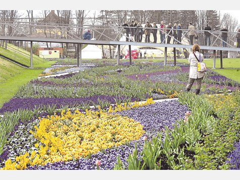 Ein Blumenmeer wird – wie hier 2010 in Rosenheim – stets mit einer Landesgartenschau verbunden. Bei einer kleinen landesgartenschau muss es aber nicht immer so ausufernd mit Folgekosten sein. foto: marcus schlaf Ein Blumenmeer wird – wie hier 2010 in Rosenheim – stets mit einer Landesgartenschau verbunden. Bei einer kleinen landesgartenschau muss es aber nicht immer so ausufernd mit Folgekosten sein. foto: marcus schlaf