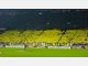 Bayern gegen BVB