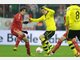 Bayern gegen BVB