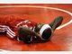 FC Bayern Baskets gegen Brose Bamberg