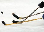 Deggendorfer Willkür? Sechs Erdinger Eishockeyfans ausgesperrt