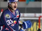 EHC München strebt Playoff-Teilnahme an: Im Fernduell um Platz zehn