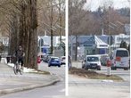 Gewerbegebiet Starnberg: Nach Fällung kommt die Zeit für Blumen