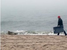 Unterwegs mit dem Robben- und Seehundjäger Thomas Diedrichsen auf Sylt 