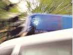 Mofafahrer (15) weicht in Kreuth Hund aus - verletzt
