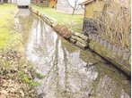 Ufer vom Hachinger Bach bröckelt