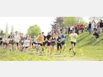 Leichtathletik: Au-Lauf wieder mit Team-Staffel