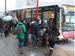 Bus und Bahn mit neuem Rekord: So viele Deutsche wie noch nie nutzen öffentliche Verkehrsmittel