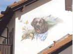 So kam der Hund an die Wand