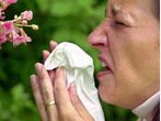 Allergiker, aufgepasst: Nach dem Winterfrühling die Turboblüte