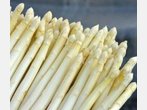 Spargel: Gute Ernte in Sicht