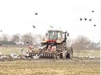 Langer Winter: Landwirte mit der Arbeit drei Wochen hinterher