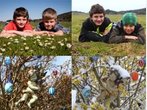 Heute vor einem Jahr war's schon Frühling