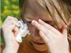 Heuschnupfen-Alarm: Erle, Pappel und Birke blühen jetzt