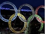 Sotschi lässt 2000 herrenlose Hunde und Katzen töten