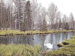 Spritztouren im Isarwinkel: Spaziergang von Bad Tölz durch das Ellbacher Moor
