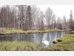 Heilung im Paradies