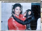 Michael Jackson: Sein Affe bekommt ein denkmal am Promenadeplatz in München