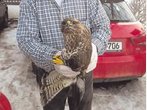 Patient wieder flügge