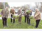 Kreisel in Seeglas: Zunächst ist Geduld gefragt