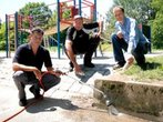 Ameisen auf Spielplätzen: Stadt machtlos