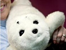 Japanischer Robben-Roboter kommt immer öfter bei Menschen mit Demenz zum Einsatz