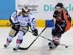 Daniel Sparre (l.) geht künftig für München auf Torejagd. Daniel Sparre (l.) geht künftig für München auf Torejagd.