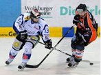 EHC Red Bull München wildert bei den Straubing Tigers: Daniel Sparre und Benedikt Brückner kommen