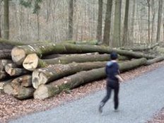 Ausdauertraining und Übungen kombinieren