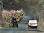 Tempolimit 130 km/h: Rumäniens Regierungschef will Rasern die Autos wegnehmen